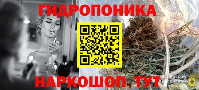 хмурый Свободный
